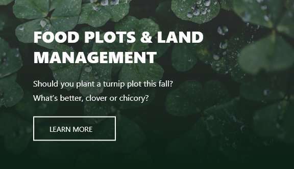 Food Plots & Land Management